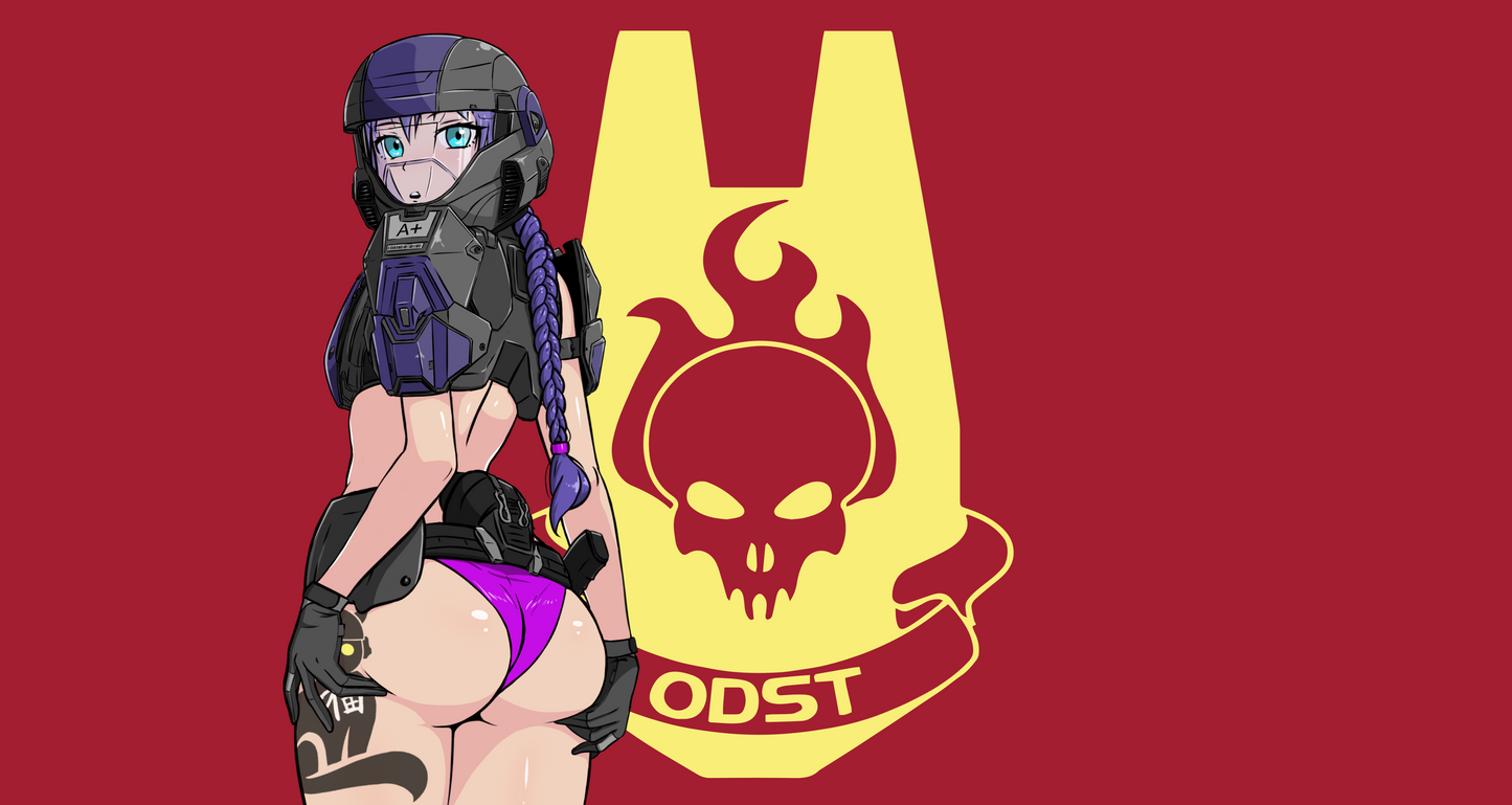 ODST flag *pre order*